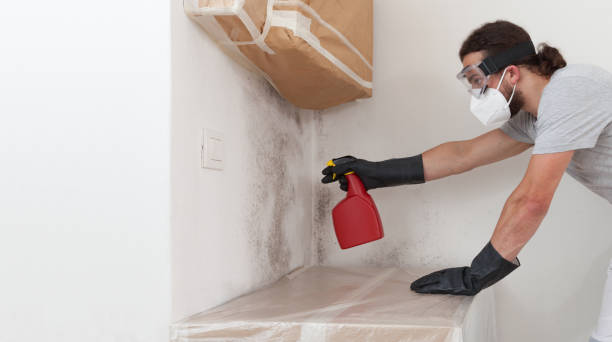 Professional Mold Remediation technician working in Burnt Cabins, PA